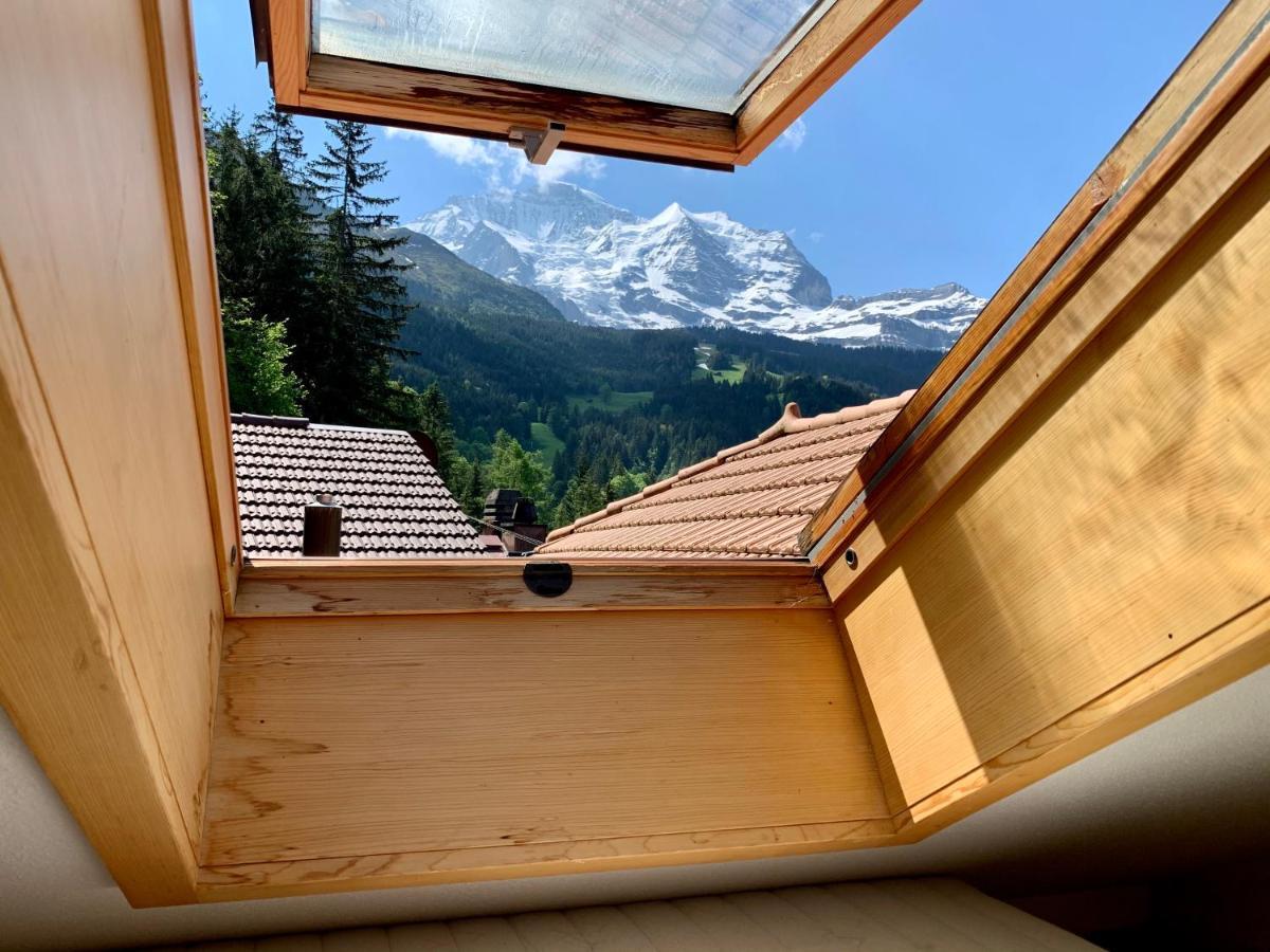 Chalet Aargovia Wengen Ngoại thất bức ảnh