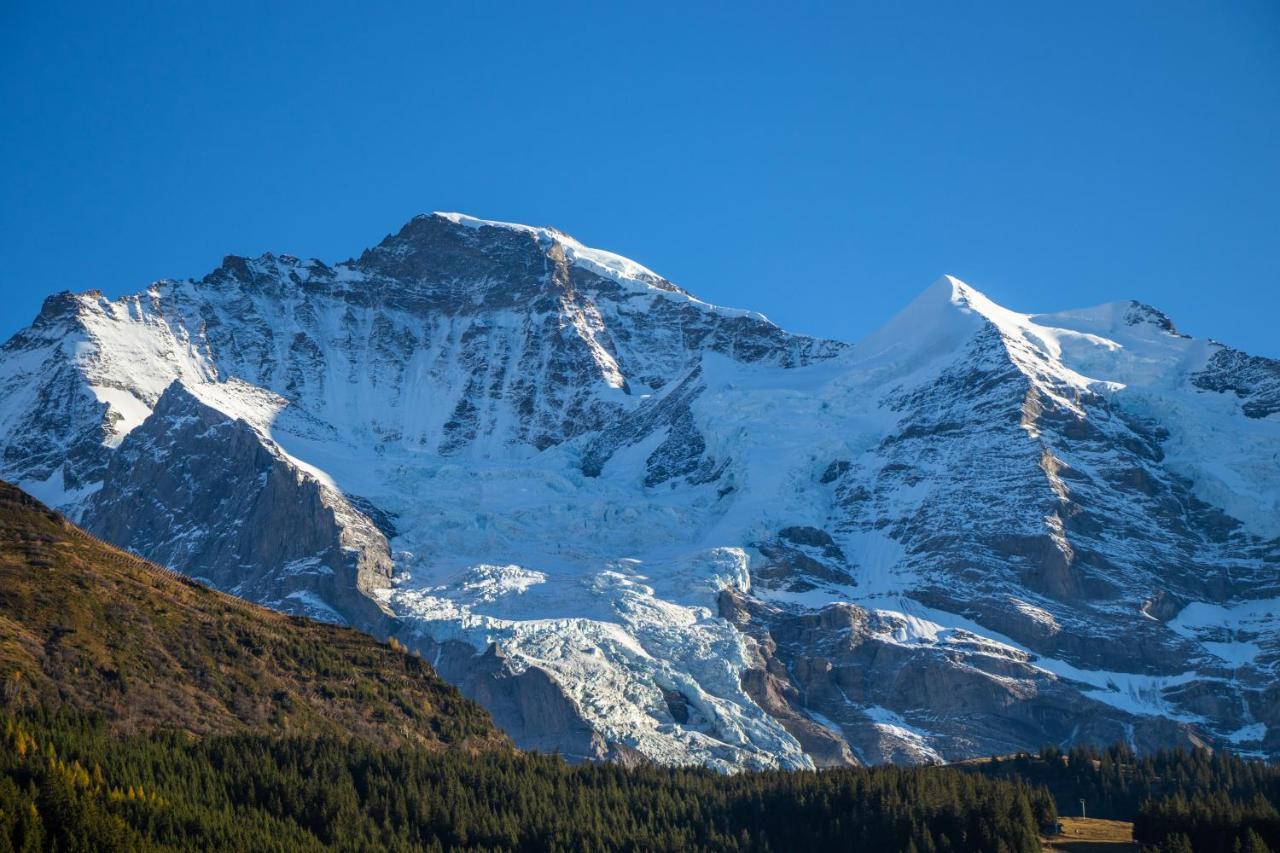 Chalet Aargovia Wengen Ngoại thất bức ảnh